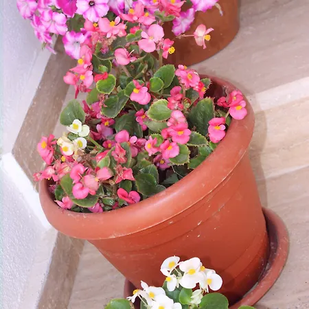 Helvacioglu Butik * 博兹贾阿达岛