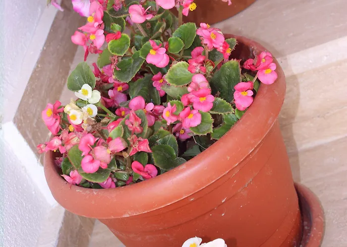 Helvacioglu Butik * Bozcaada