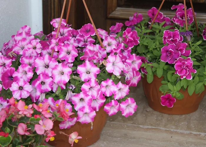 Helvacioglu Butik Bozcaada